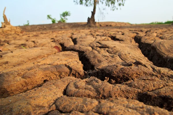 Dry earth texture at thailand — Stock Photo, Image