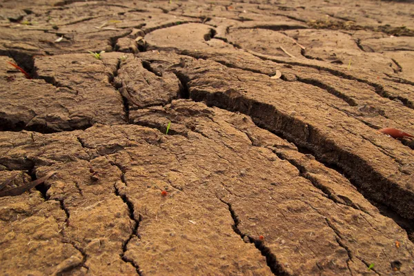 タイで乾燥した地球のテクスチャ — ストック写真