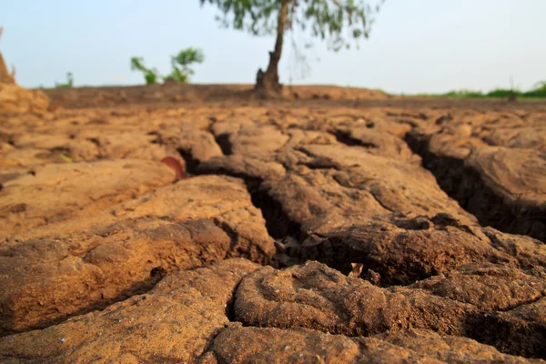 Droge aarde textuur in thailand — Stockfoto