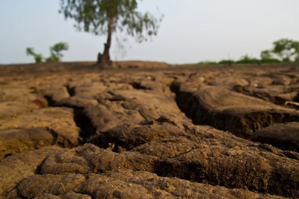 Textura de tierra seca en Tailandia — Foto de Stock