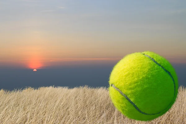 Einzelner Tennisball — Stockfoto