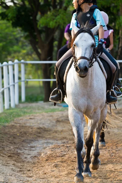 Child trains horse riding , — Stock Photo, Image