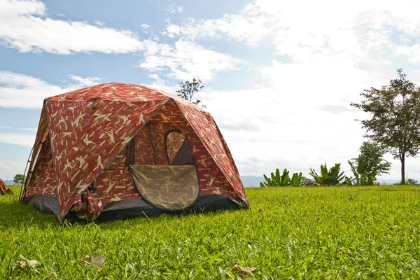 Acampar na floresta — Fotografia de Stock