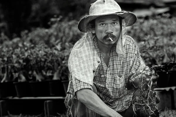 Homem velho fumando — Fotografia de Stock