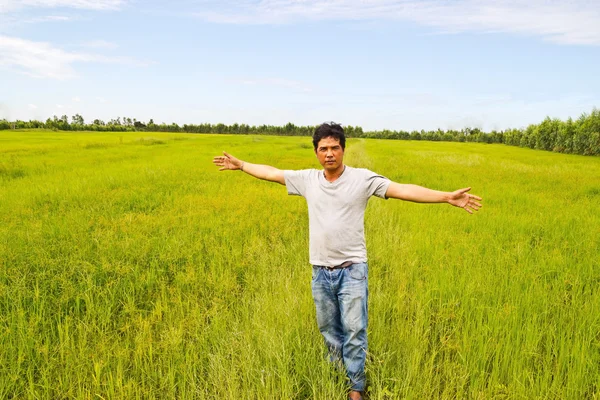 Man standing in green rice. — Stock Photo, Image