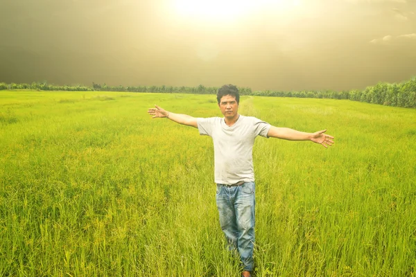 녹색 쌀에 서 있는 남자. — 스톡 사진