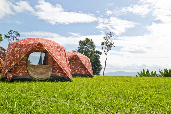 Acampar na floresta — Fotografia de Stock