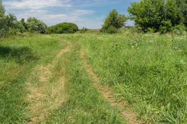 Orta Ukrayna 'daki Dnipro şehri yakınlarındaki yeşil çayır boyunca uzanan boş arka yolu olan yaz manzarası