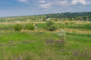 Kamianske, Zaporizhzhia Oblastı, Ukrayna 'da Konka Nehri boyunca (Dinyeper' in sol kolu) su çayırı bulunan bahar manzarası 