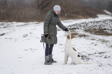 Olgun beyaz kadın kış mevsiminde kır yolunda yürürken melez köpeğini besliyor.