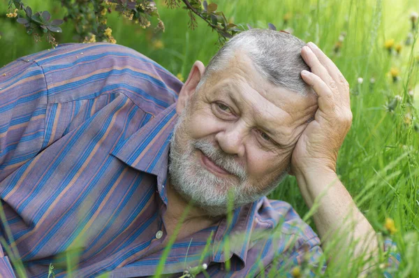 Böğürtlen çalılarının altında bahar taze çimlerinde yatan sakallı beyaz adam portresi.