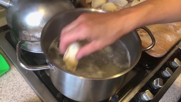 老妇人的手把乌克兰人的饺子扔进锅里 里面塞满了新鲜的樱桃和开水 — 图库视频影像