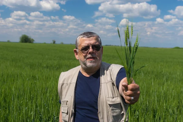 Buen Retrato Del Agricultor Senior Ucraniano Parado Dentro Del Campo — Foto de Stock