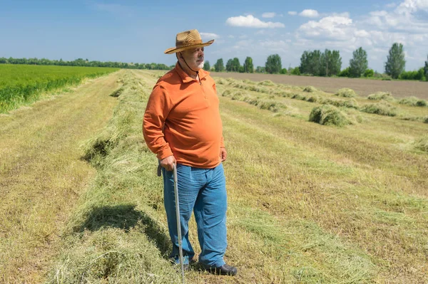 Full Body Portrait Bearded Caucasian Senior Farmer Standing Agricultural Field — Stock Photo, Image