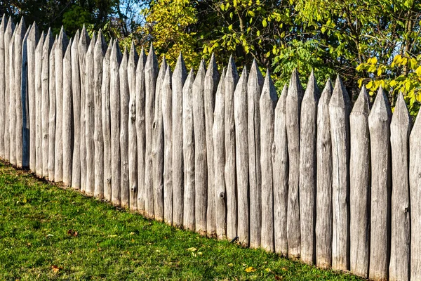 Φράχτης Ακονισμένοι Και Μυτεροί Κορμοί Δέντρων — Φωτογραφία Αρχείου