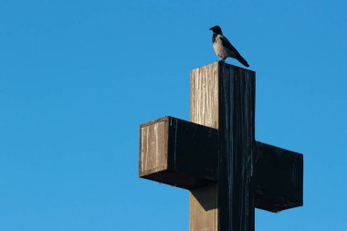 Mavi gökyüzü arkaplanına karşı haçın üstündeki karga