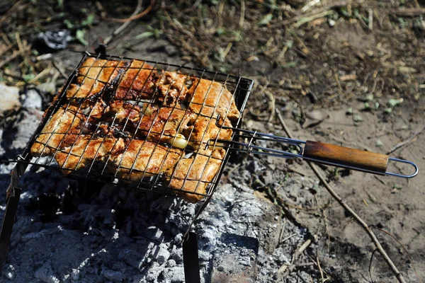 Grill Viande Barbecue Sur Pique Nique — Photo
