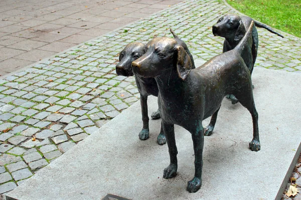 Vilna Lituania Julio 2017 Escultura Perros Caza Lituanos Única Raza — Foto de Stock