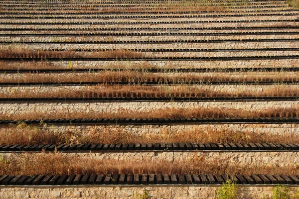 Opuštěné Dřevěné Lavičky Tribuny Zarostlé Suchou Trávou Plevelem Starém Stadionu — Stock fotografie