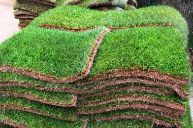 Çimen yapımında kullanılan yeşil çimen bantları yığını