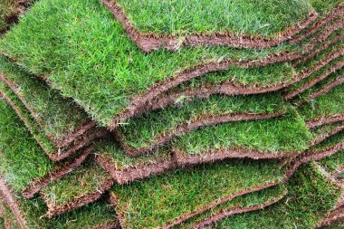 Çimen yapımında kullanılan yeşil çimen bantları yığını