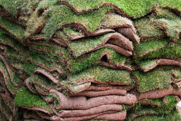 Stacks Green Sod Patches Used Grass Lawn Making — ストック写真