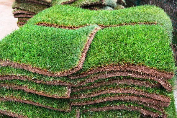 Çimen yapımında kullanılan yeşil çimen bantları yığını