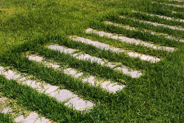 Oude Stenen Platen Groen Gras — Stockfoto