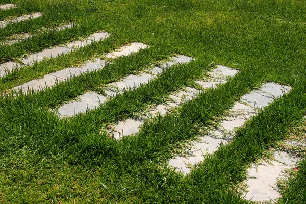 Oude Stenen Platen Groen Gras — Stockfoto