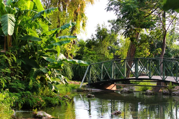 Small bridge on a pond in a garden