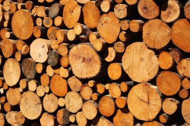 Arkaplan olarak odun ve kereste yığını