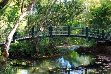 Türkiye 'nin Antalya kentindeki Kursunlu şelalesinde tahta köprü