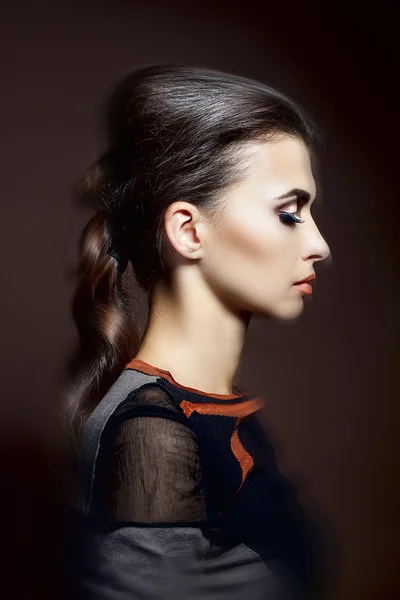 Woman with a luxurious hairstyle and professional makeup — Stock Photo, Image