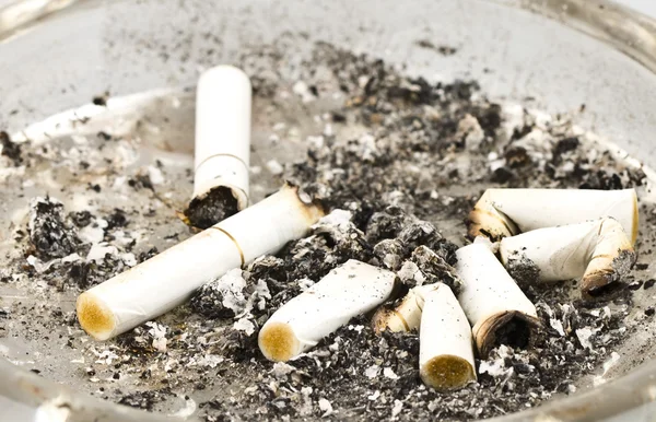 Sigara ve kül tablası içinde