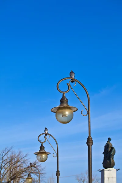 Güvercin lambayı oturuyor