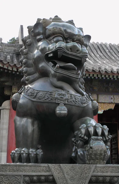 Chinese Imperial Lion — Stock Photo, Image