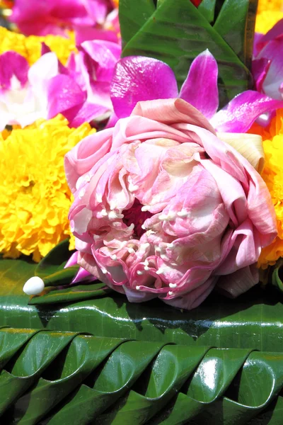 Loto en hoja de plátano compañero de mano para el festival Loy Kratong, Tailandia — Foto de Stock