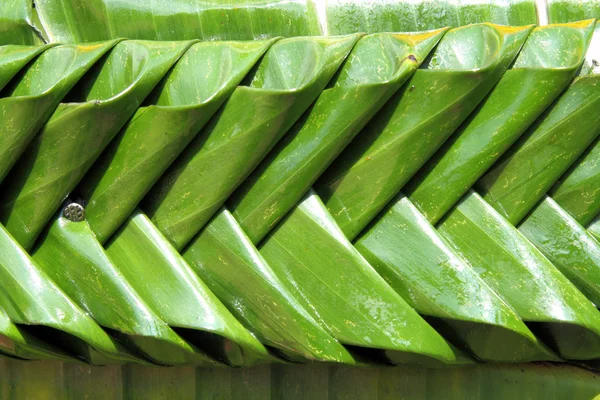 Textur des Bananenblattes handgefertigt in Kratong Festival, Thailand — Stockfoto