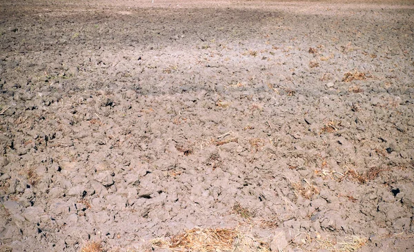 Fragment of field with plowed soil — Stock Photo, Image