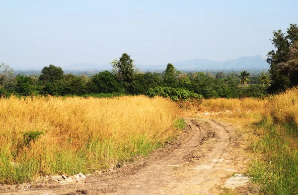 Clay road at rural of Thailand — Stock Photo, Image