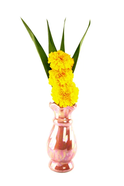 Marigold and pandan in vase for worship on white background — Stock Photo, Image