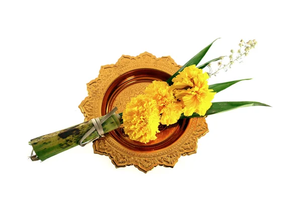 Marigold with golden tray on white background — Stock Photo, Image