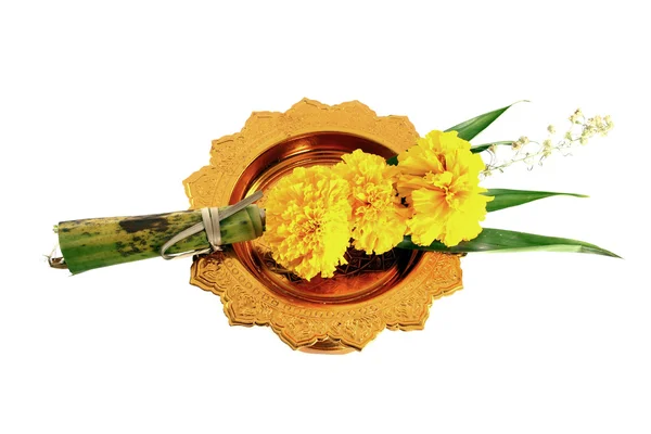 Ringelblume mit goldenem Tablett auf weißem Hintergrund — Stockfoto