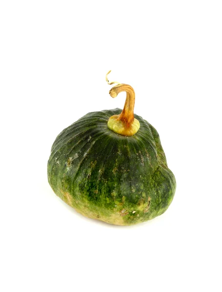 Green pumpkin isolated on white background — Stock Photo, Image