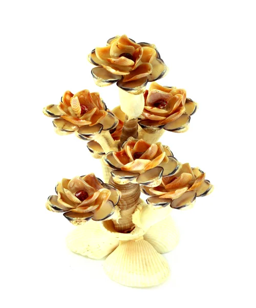 Shell flower — Stock Photo, Image