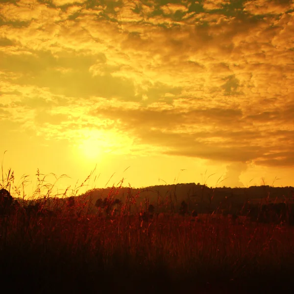 草シルエットの山々 の美しい夕日 — ストック写真