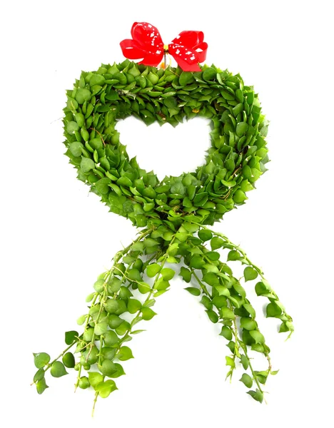 Форма сердца из зеленых листьев на белом фоне — стоковое фото