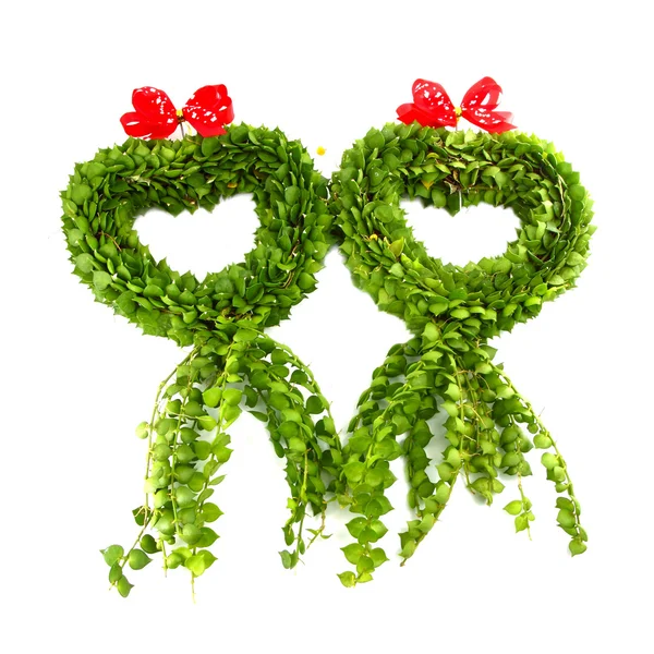 Heart shape from green Leaves on white background — Stock Photo, Image