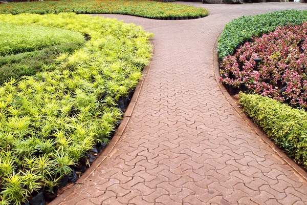 Stone pathway in garden — Stock Photo, Image