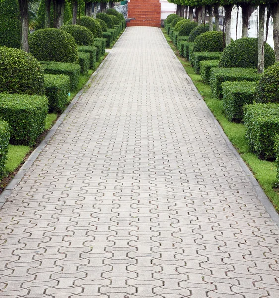 Stone pathway in garden — Stock Photo, Image